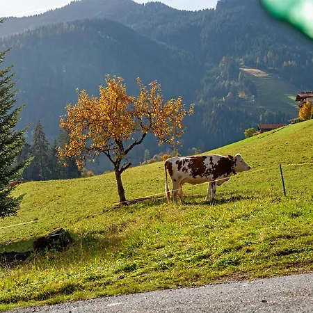 Uriges Achtzehn53 * Oberau
