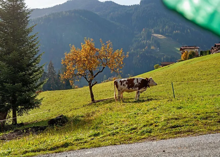 Uriges Achtzehn53 * أوبيراو